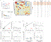 Extended Data Figure 1.