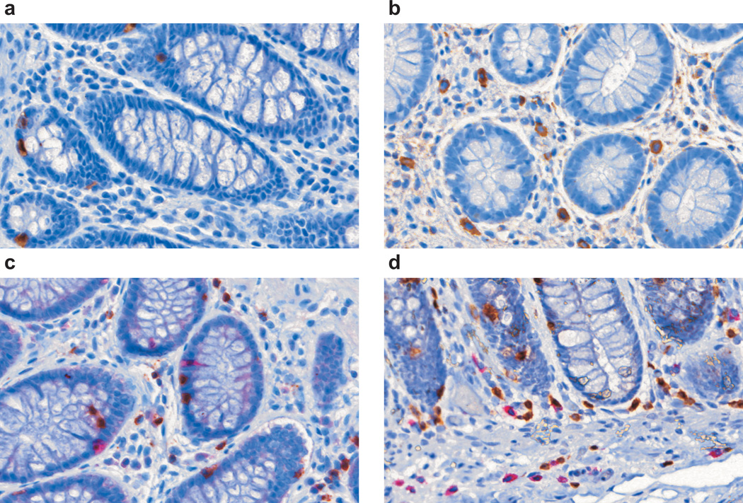 FIG.1