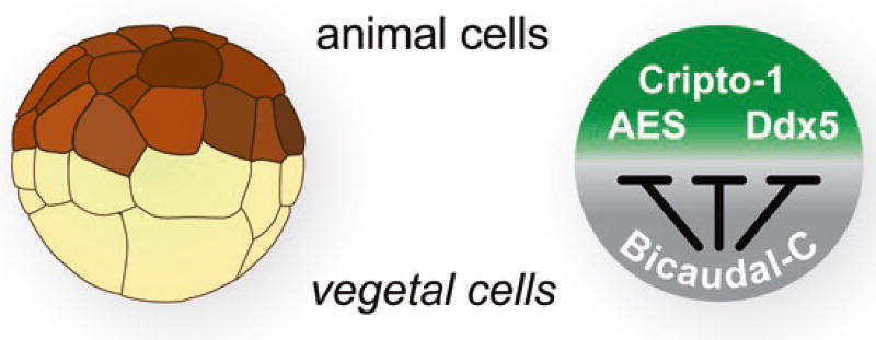 Fig. 2.6