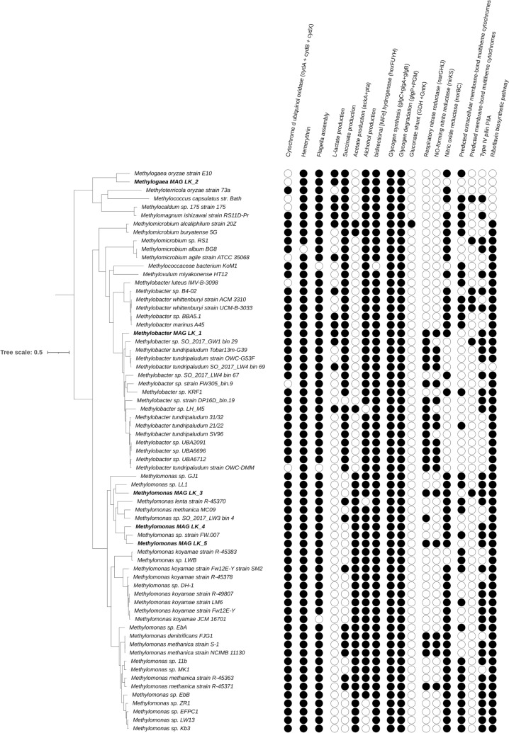 Fig. 4