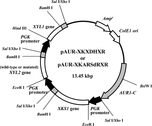 FIG. 2.