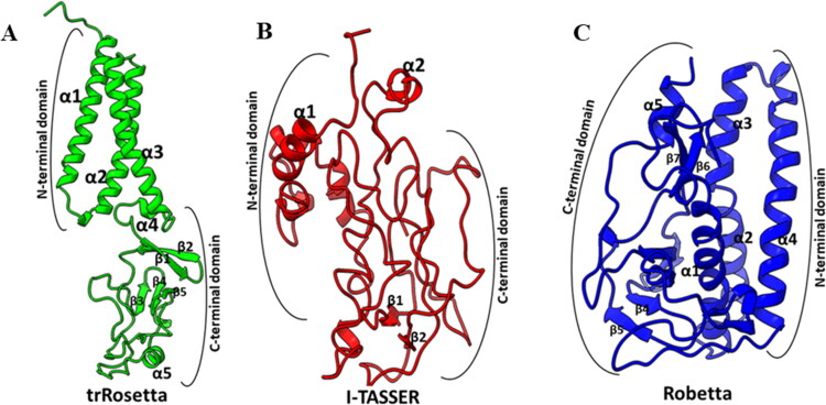 Figure 5.