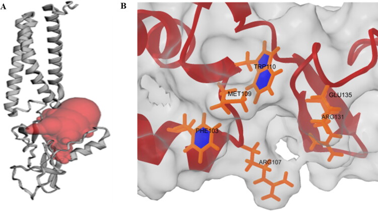 Figure 10.