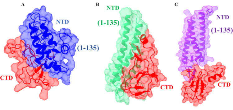 Figure 7.