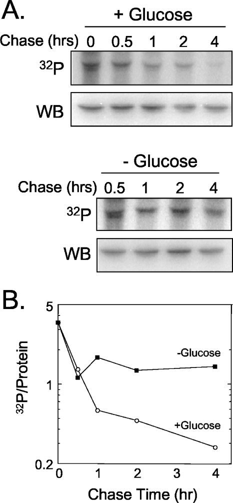 FIG. 9.