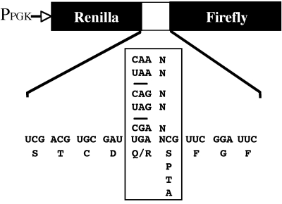 FIG. 4.