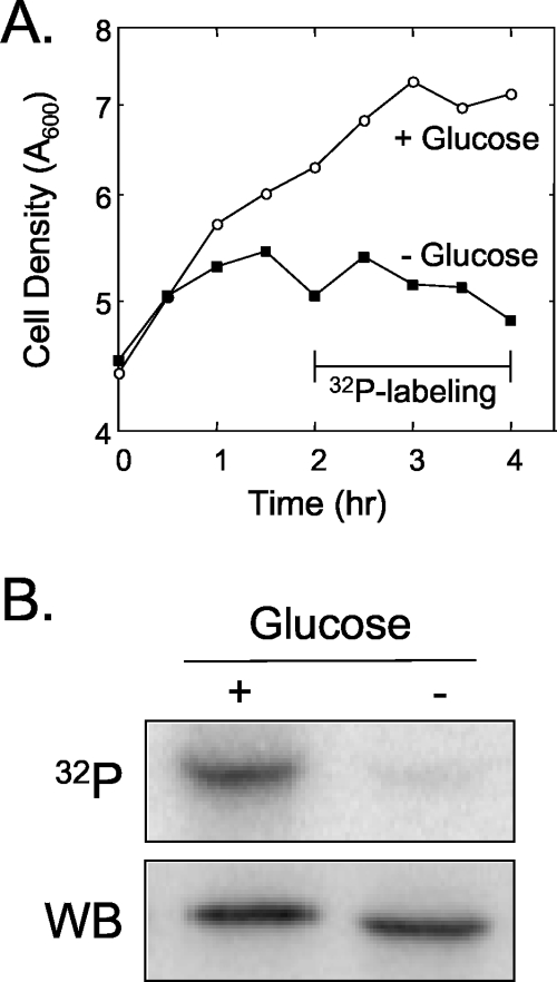 FIG. 8.