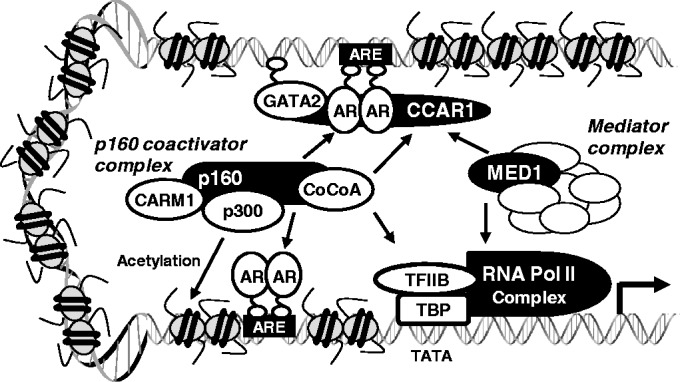 Figure 6.