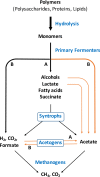 FIG 5