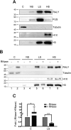 Figure 9.