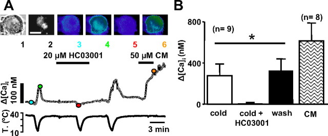 Figure 9.