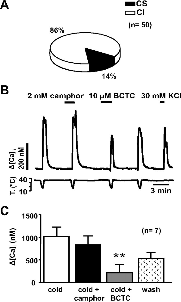 Figure 10.