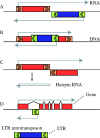 F<sc>ig</sc>. 2.