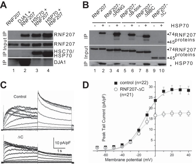 FIGURE 11.