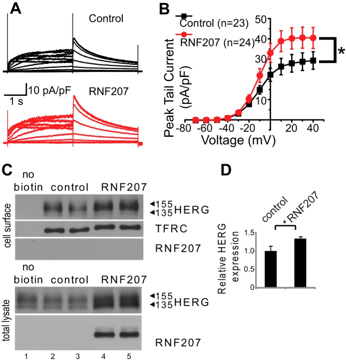 FIGURE 10.