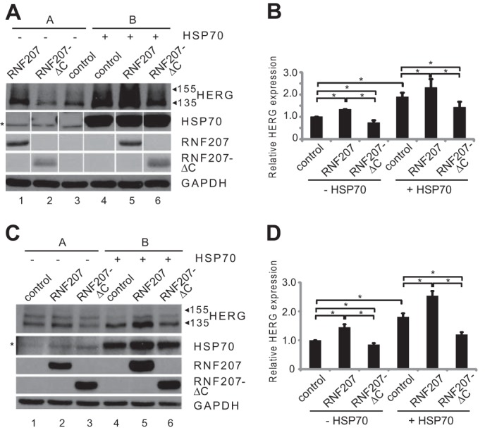 FIGURE 12.