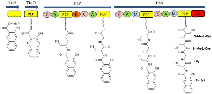 Figure 5