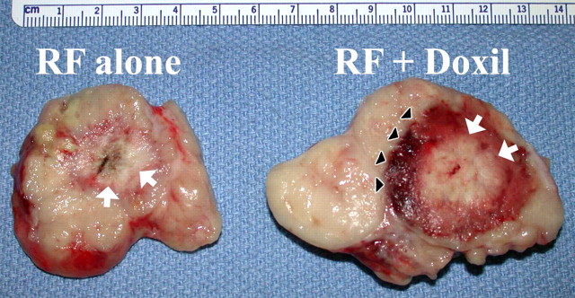 Figure 13b: