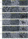 Figure 10.