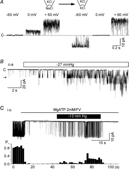 Figure 10