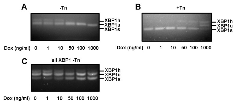 Figure 3. 