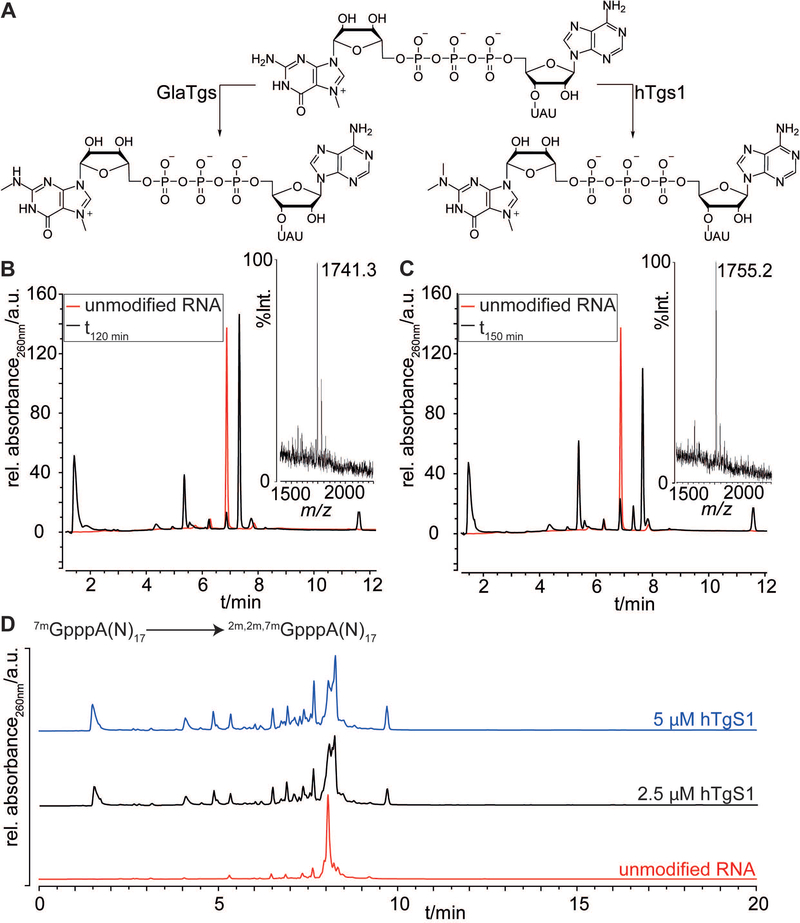 Figure 2.