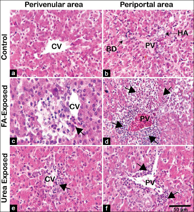 Figure-3