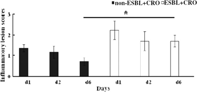 FIG 6