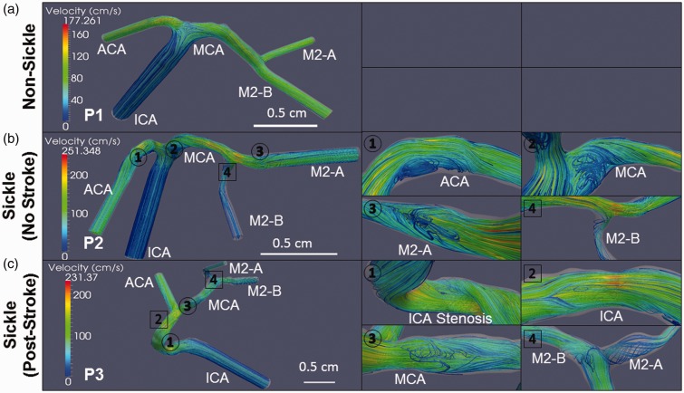 Figure 6