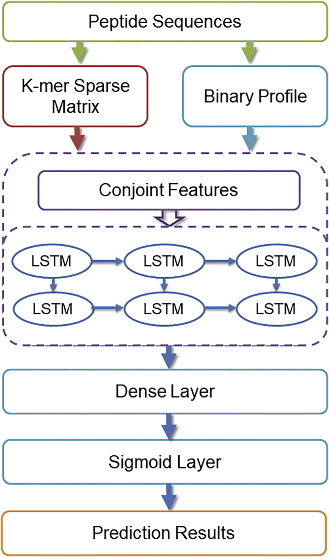 Figure 1