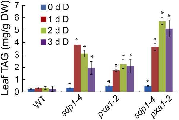 Figure 5.