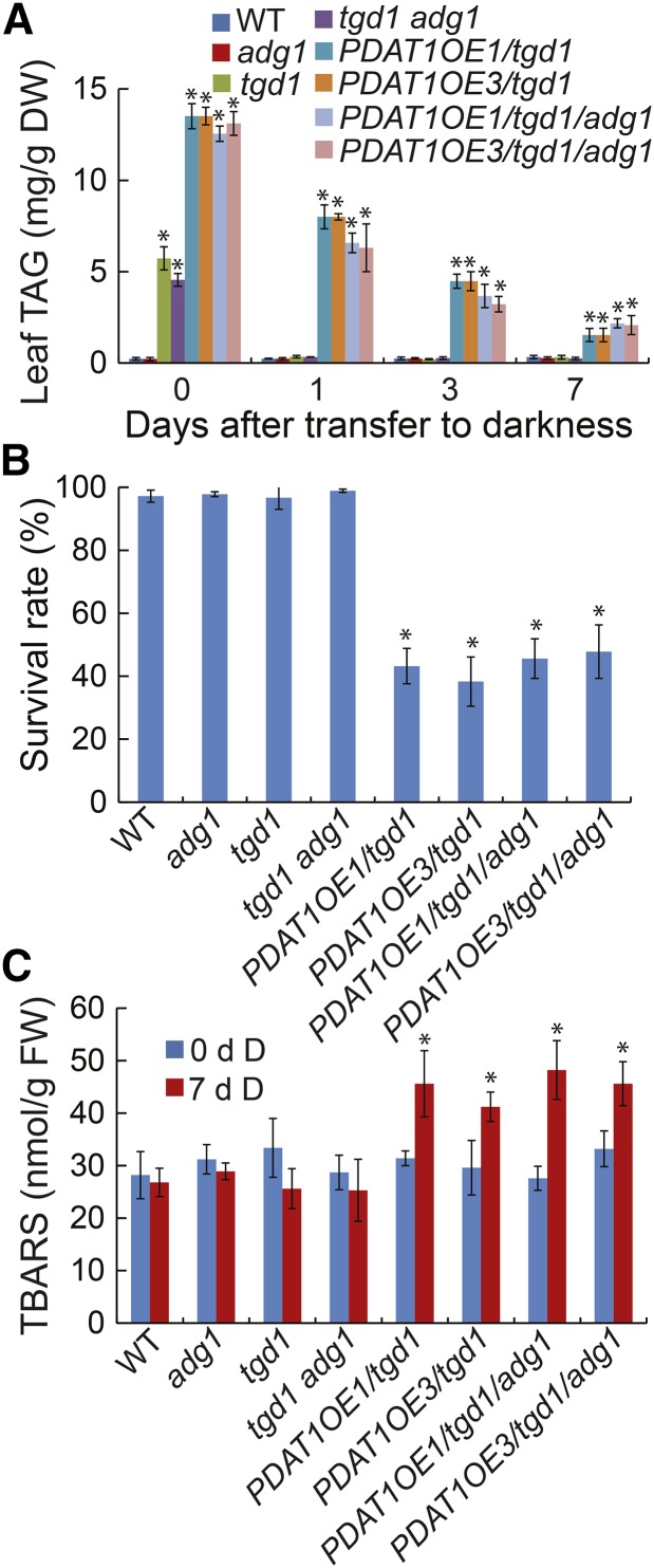 Figure 12.