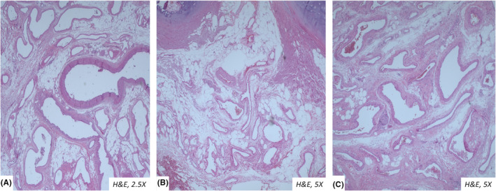 FIGURE 4