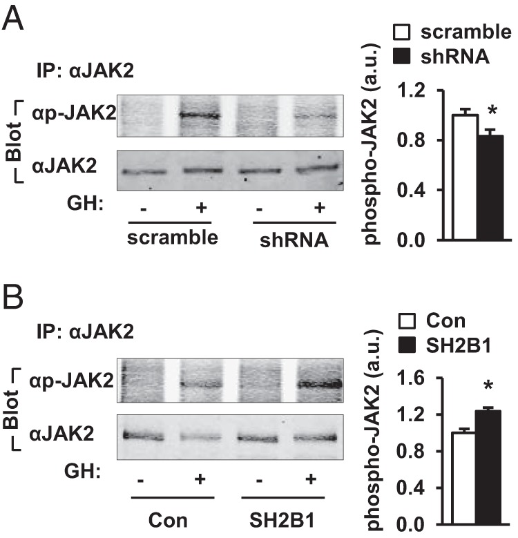 Figure 5.