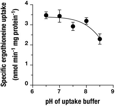 Fig. 7.