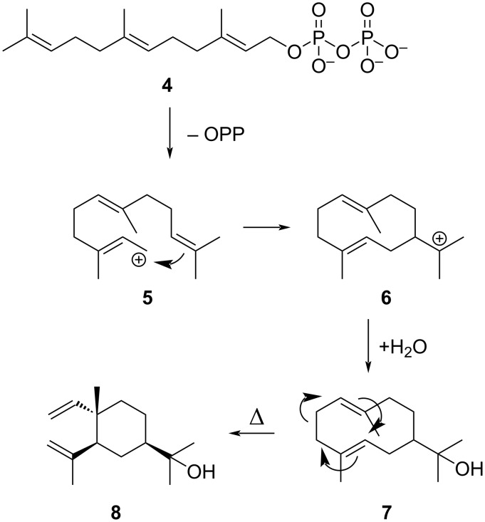 Scheme 2