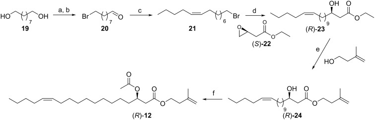 Scheme 4