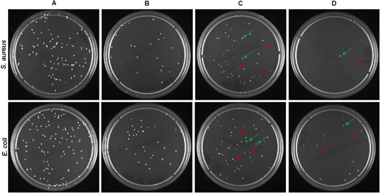 Fig. 9