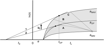 Figure 6.—