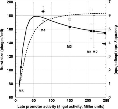 Figure 3.—