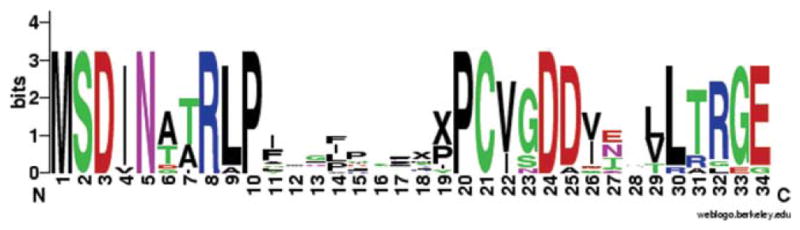 FIGURE 3