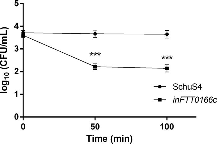 FIG 11