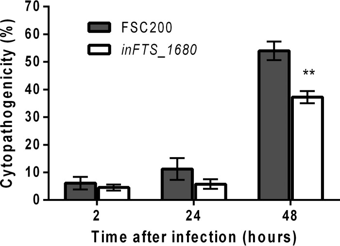 FIG 7