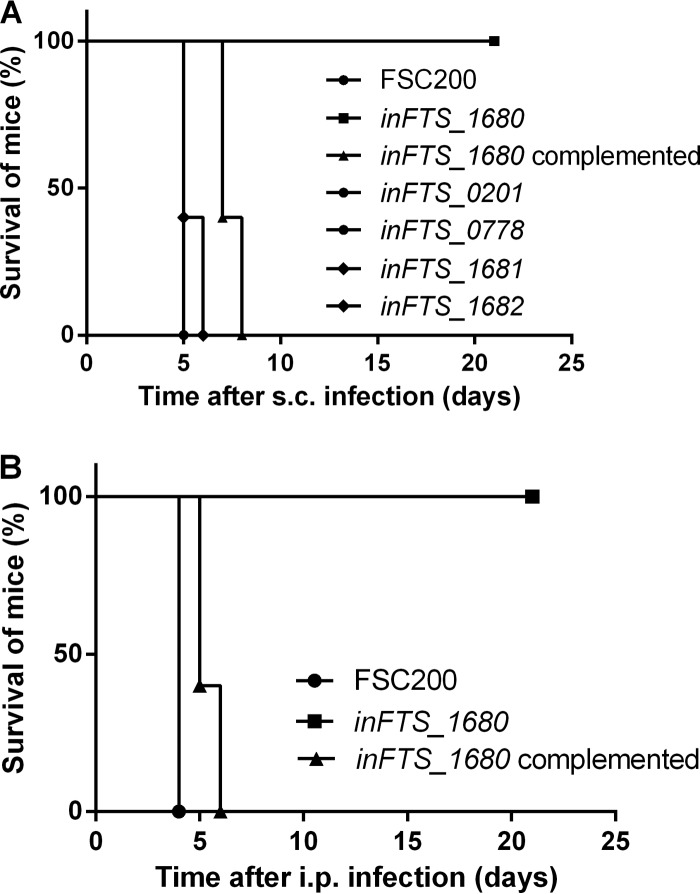 FIG 3