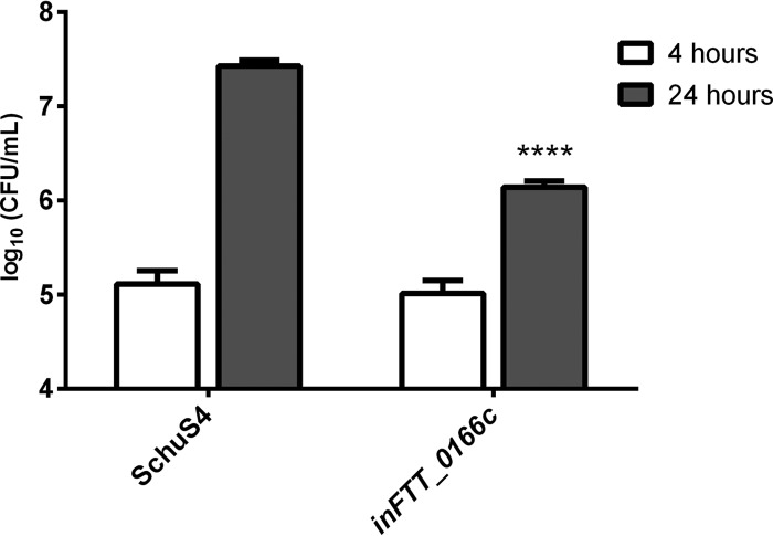 FIG 10