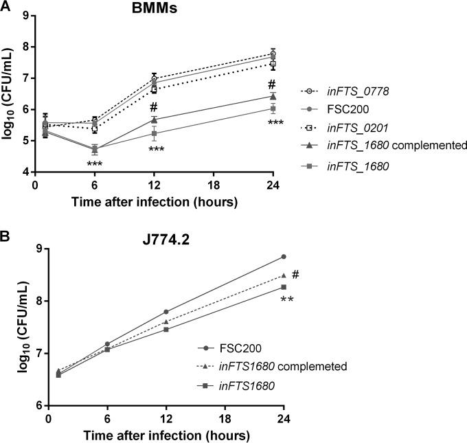 FIG 2