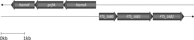 FIG 5