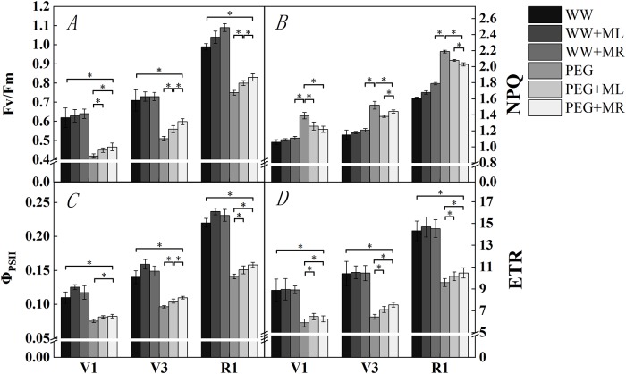 Fig 5