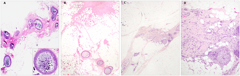 Figure 3: