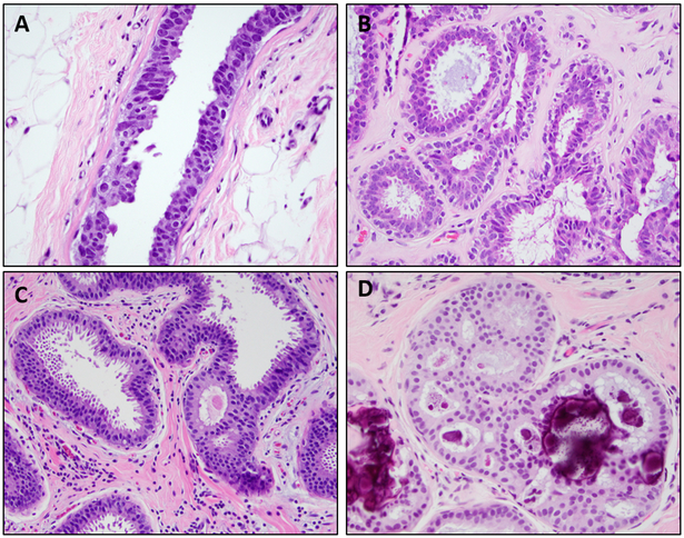 Figure 4: